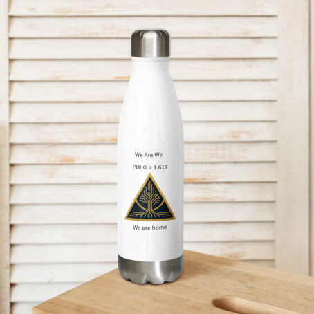 PHI Stainless Water Bottle – 17 oz (Scroll Edition) - Image 2